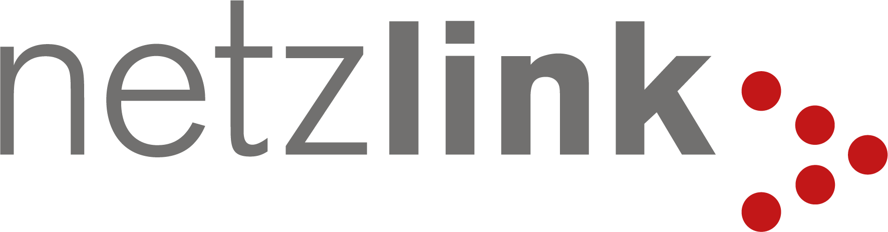 Netzlink Logo