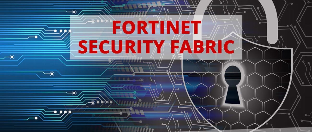 Fortinet Security Fabric über Netzlink beziehen